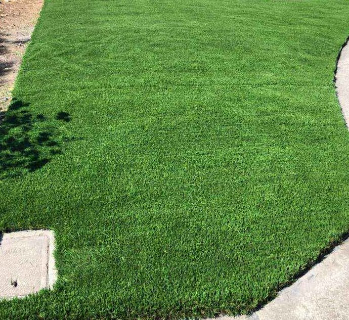 New sod lawn with clean edge along a walkway in Sonoma County