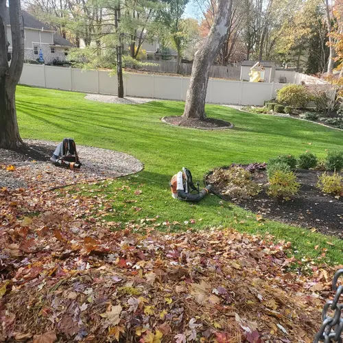 Seasonal leaf removal with a clean lawn and landscape beds in Sonoma County, CA.